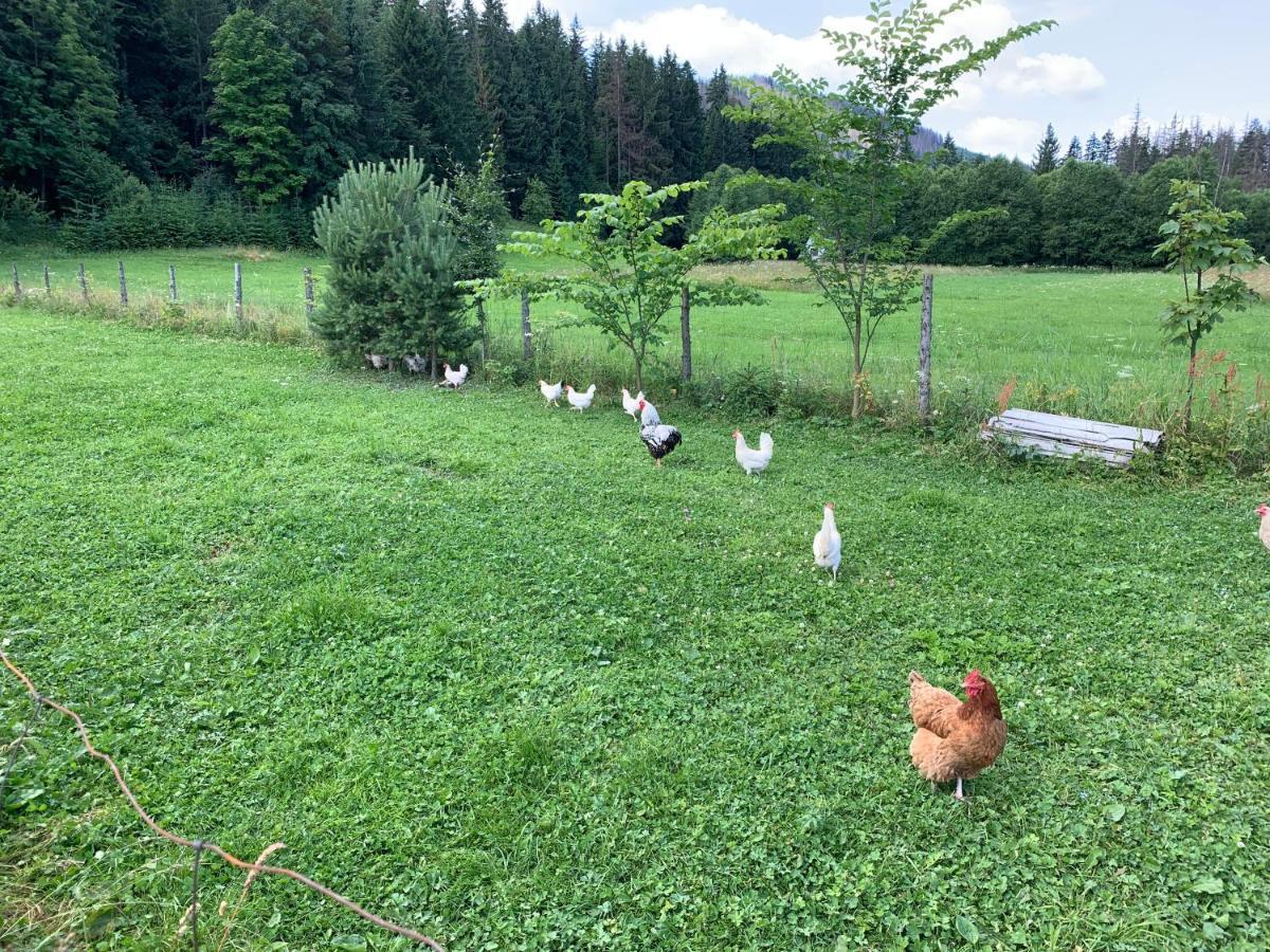 Dom Wypoczynkowy I Apartamenty "Nabucco" Z Widokiem Na Giewont I Gory Zakopane Extérieur photo