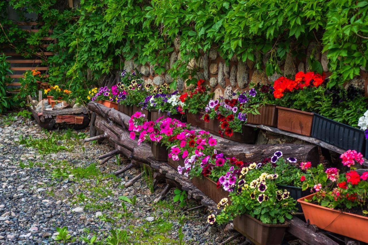 Dom Wypoczynkowy I Apartamenty "Nabucco" Z Widokiem Na Giewont I Gory Zakopane Extérieur photo