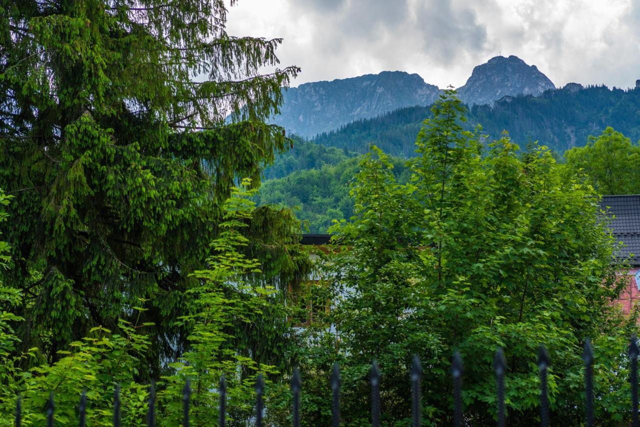 Dom Wypoczynkowy I Apartamenty "Nabucco" Z Widokiem Na Giewont I Gory Zakopane Extérieur photo